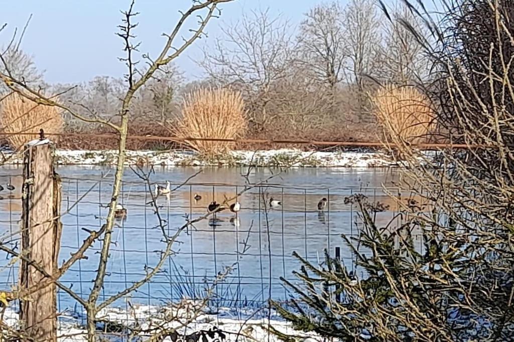 Au Coeur De La Dombes Villa Saint-Paul-de-Varax Eksteriør bilde
